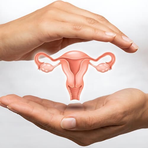 Women's Health